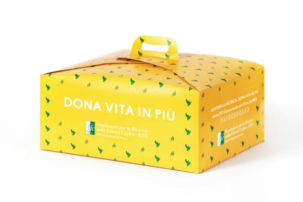 La colomba di fine pasticceria - immagine 3